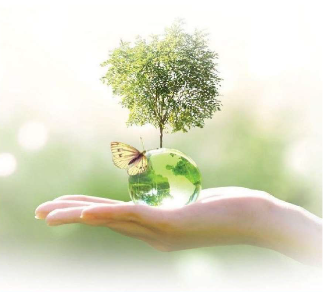 Renewable Energy Solution